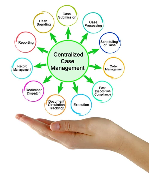 Components Centralized Case Management — Stock Photo, Image