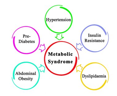 Five Causes of Metabolic Syndrome clipart