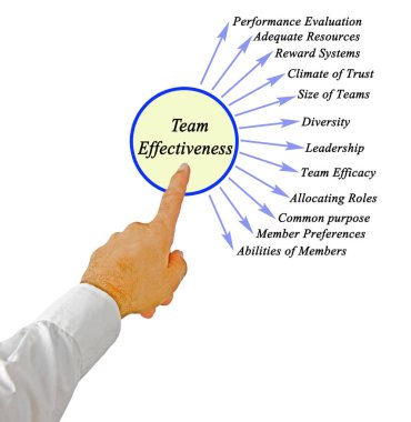 Takım Etkinliğinin On İki Sürücüsü