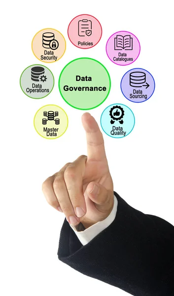 Siete Componentes Gobernanza Datos — Foto de Stock