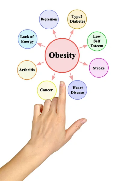 Sekiz Obezite Ardışık Sunumu — Stok fotoğraf