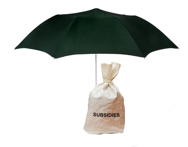 Zak Met Subsidies Onder Paraplu — Stockfoto