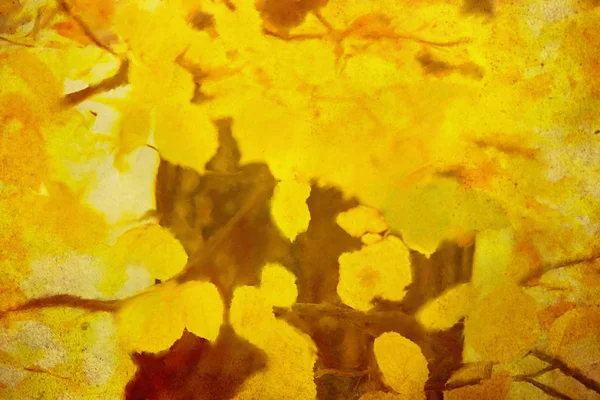 Oil abstract autumn background — Stock Photo, Image
