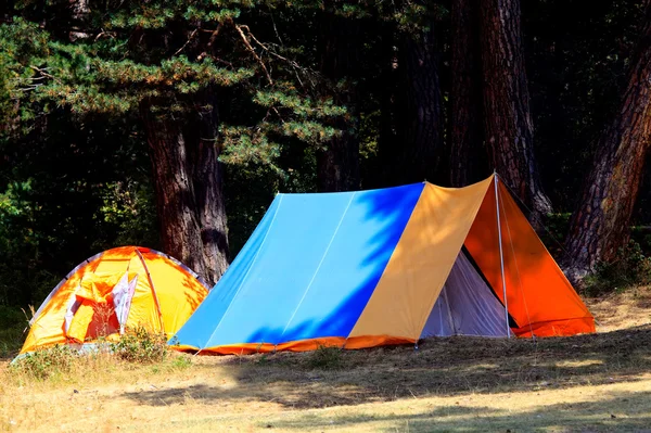 两个帐篷在秋天的森林 — 图库照片