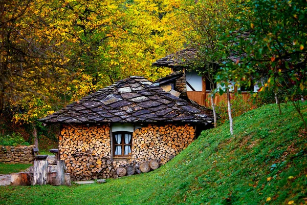 Gamla hus i höst skog — Stockfoto