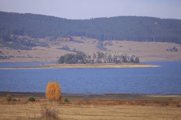 Plano Escénico Hermoso Lago Montaña Bosque Pinos — Foto de Stock