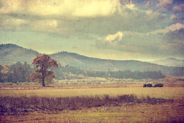 Vintage jordbruks bakgrund — Stockfoto