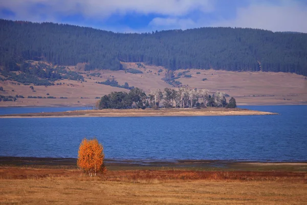 See neben Baum — Stockfoto