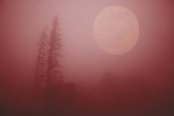 Luna grande sobre la espeluznante noche roja, niebla y silueta de casa y árboles — Foto de Stock