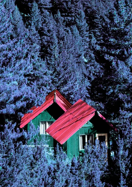 Pequeñas casas de madera en el bosque, abstracto paisaje infrarrojo —  Fotos de Stock