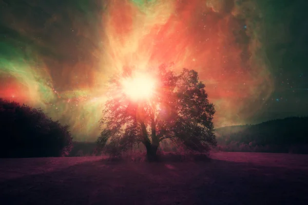 Paisagem alienígena vermelha com árvore sozinha sobre o céu noturno com muitas estrelas elementos desta imagem são fornecidos pela NASA — Fotografia de Stock