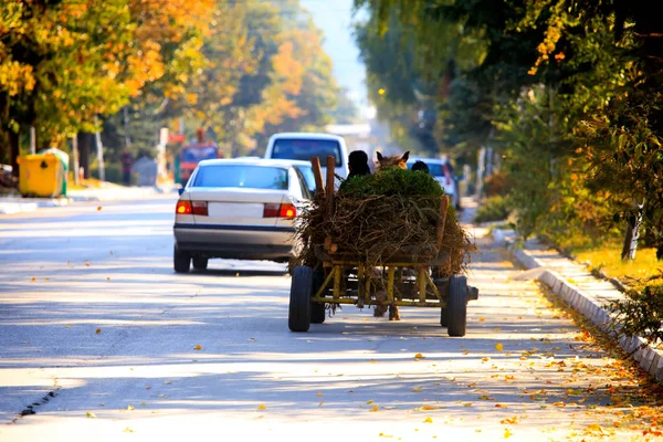 Vários caras ciganos em carroça de cavalo viagem através da cidade búlgara — Fotografia de Stock