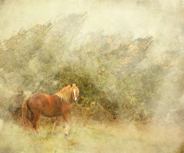 纹理的老式景观与马在春天的牧场，水彩泼添加效果 — 图库照片