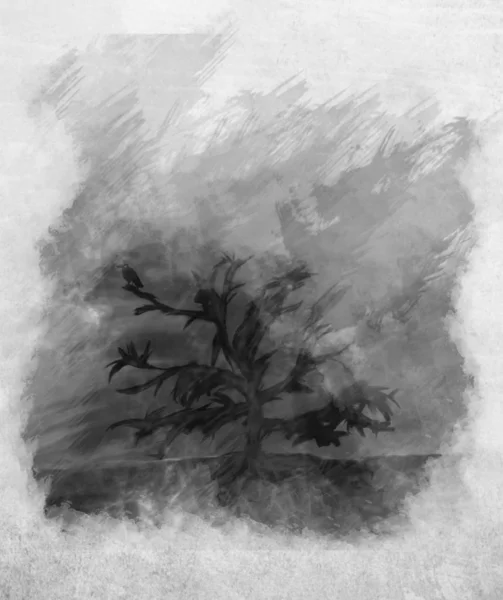 Grunge getextureerde horror vorm van crow en donkere boom, getextureerde spooky achtergrond — Stockfoto