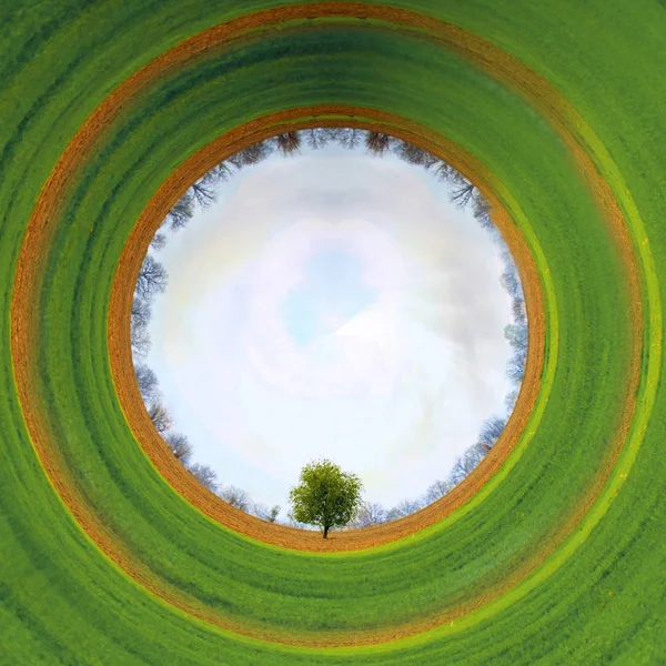 Begreppet Liten Planet Med Små Träd Den Klar Blå Himmel — Stockfoto