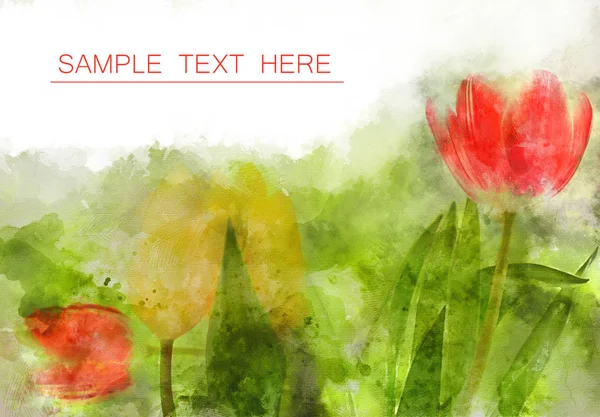 Kolor Kwiatowy Tulipany Tło Dla Karty Lub Innego Wzoru Białe — Zdjęcie stockowe