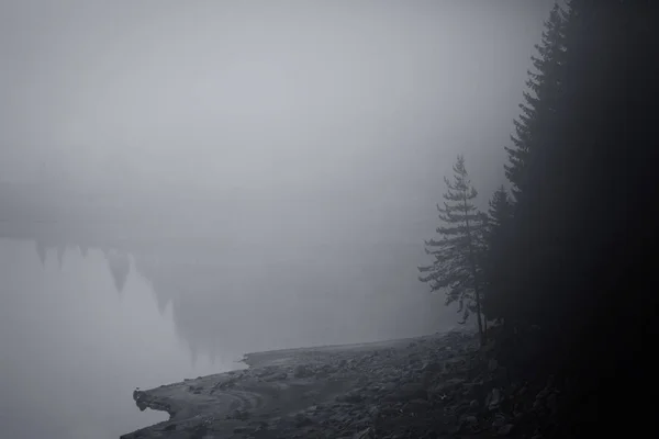 Nebel Über Dem Hochgebirgssee Schwarz Weiße Natur Abstrakter Hintergrund Kiefernwald — Stockfoto