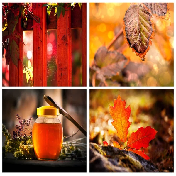 Podzimní náladová koncepční koláž — Stock fotografie