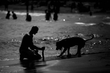 dostum ve köpek insan ve hayvan frendship beach, siyah ve beyaz viral görüntü üzerinde oynama