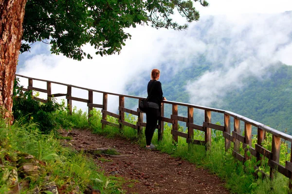 Młoda kobieta zwiedzania, Oszałamiająca Jesień Las mglisty w górach - Miłośnicy przyrody, pieszych lub przygoda koncepcja — Zdjęcie stockowe