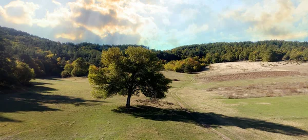 Hösten träd Hdr landskap. Flygfoto — Stockfoto