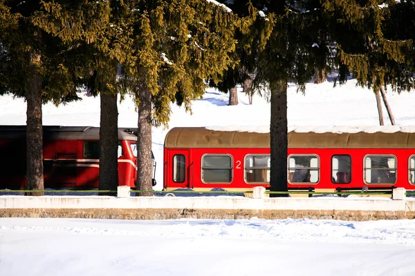 ブルガリア: 雪の日の間にラインに沿って通過列車. — ストック写真