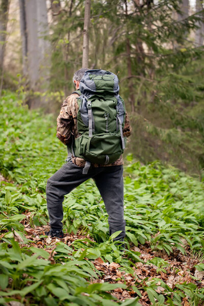 hiker walking along a trail deep in the forest