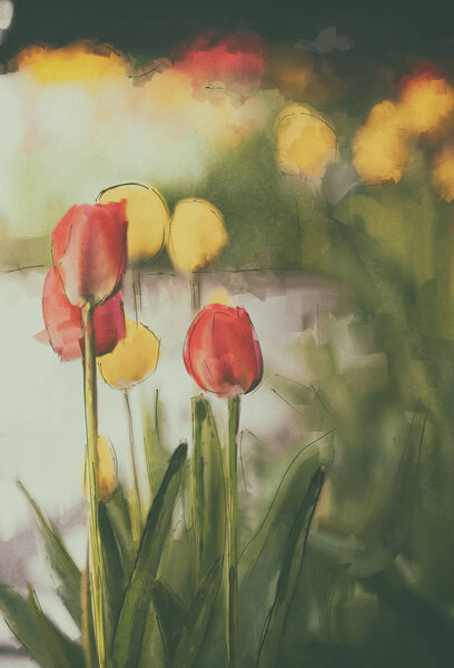 Red tulip watercolor art painting, textured vintage background — Stock Photo, Image