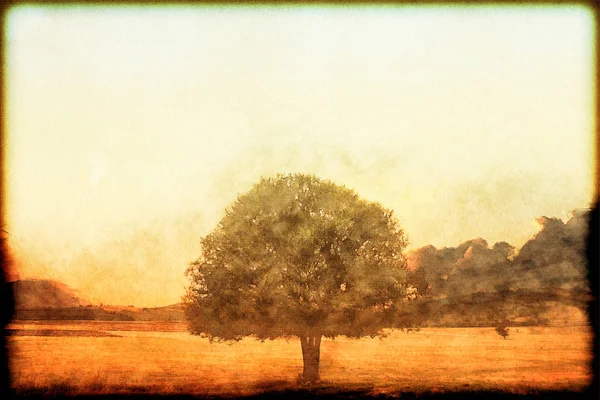 Bildmässigt höstlandskap - konstnärlig bild med ensamt träd — Stockfoto
