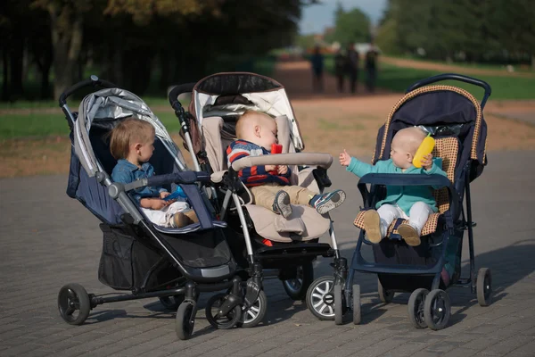 Grappige kinderen zitten in kinderwagens in park — Stockfoto