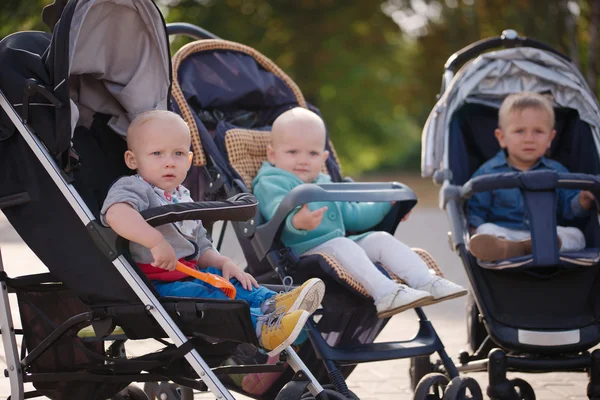 Funny children sitting in strollers in park — Stock Photo, Image