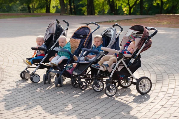 Divertenti bambini seduti in passeggini nel parco — Foto Stock