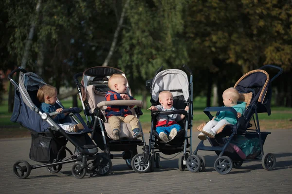 Grappige kinderen zitten in kinderwagens in park — Stockfoto