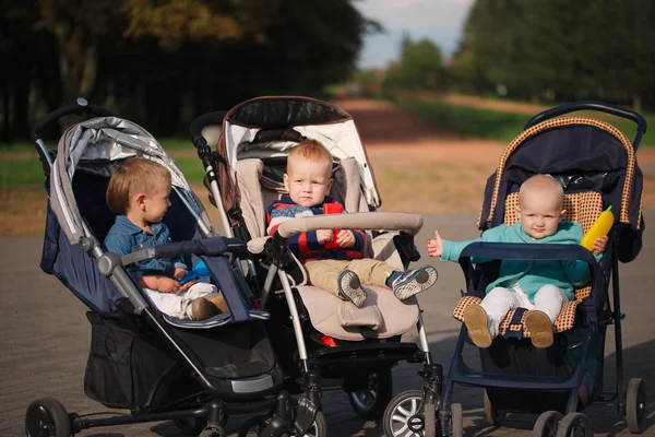 Funny children sitting in strollers in park — Stock Photo, Image