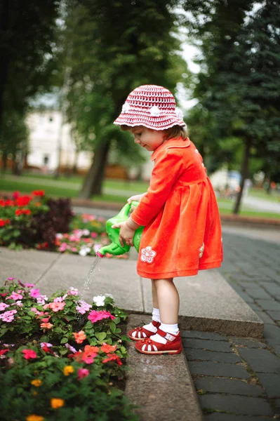 Cute girl watering flowers in the garden Stock Image