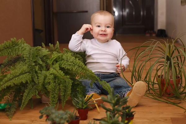 집에서 많은 식물을 가진 작은 소년 — 스톡 사진