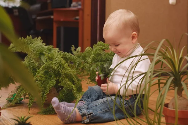 Petit garçon avec beaucoup de plantes à la maison — Photo