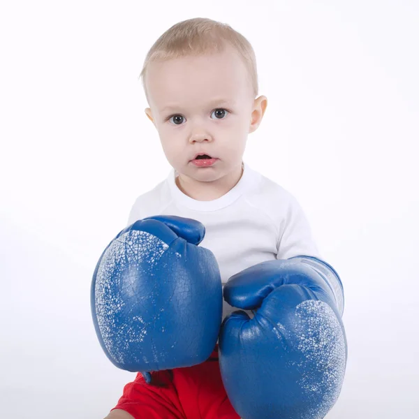 Foto del pequeño boxeador lindo en blanco — Foto de Stock