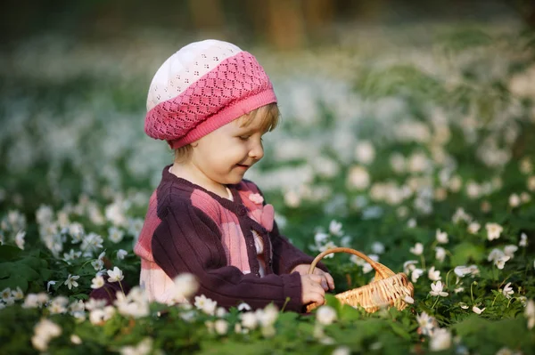 Hermosa niña en el bosque en el campo de flores — Foto de Stock