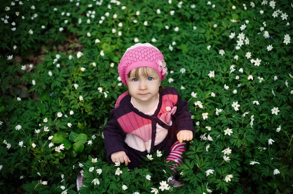 Beautiful little girl in forest on flowers field — Stock Photo, Image