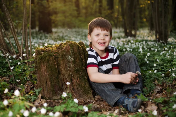 Niño en el bosque en el campo de flores —  Fotos de Stock