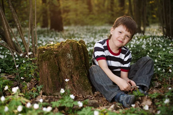 Маленький мальчик в лесу на цветочном поле — стоковое фото