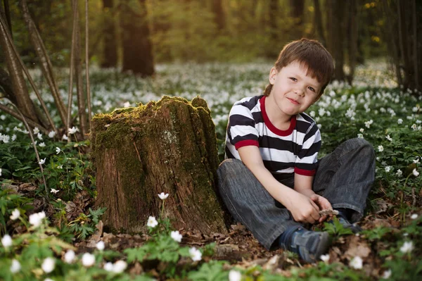 Menino na floresta no campo de flores — Fotografia de Stock