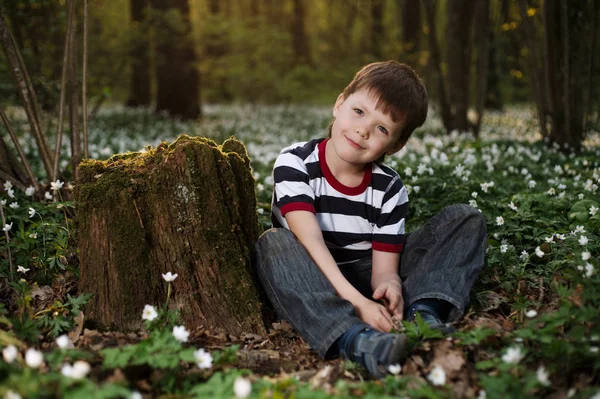 Kleiner Junge im Wald auf Blumenfeld — Stockfoto