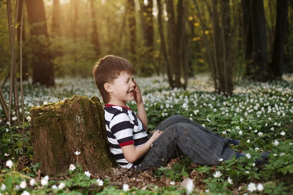 Petit garçon en forêt sur champ de fleurs — Photo