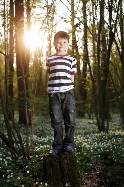 Little boy in forest on flowers field — Stock Photo, Image