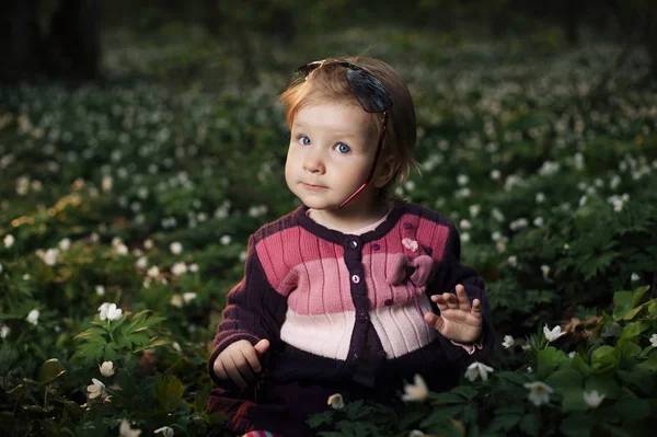 Krásná holčička v lese na květiny pole — Stock fotografie