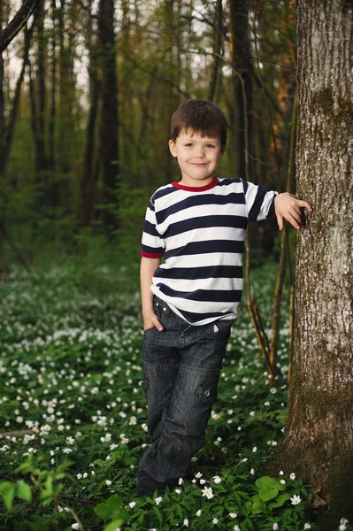 Μικρό αγόρι στο δάσος στο πεδίο λουλούδια — Φωτογραφία Αρχείου