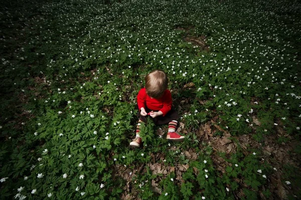 Belle petite fille en forêt sur champ de fleurs — Photo