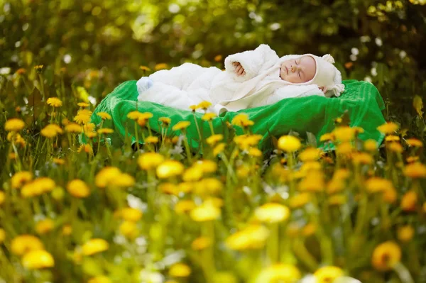 Çiçekler alanında büyük sarı yastık üzerinde uyuyan bebek — Stok fotoğraf